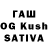 Псилоцибиновые грибы GOLDEN TEACHER Chingis M.