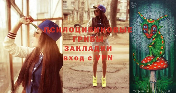 бошки Арсеньев