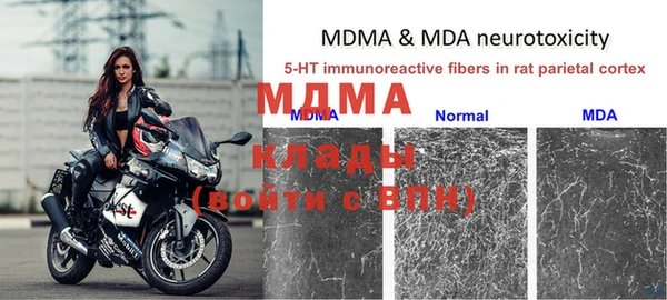 спайс Аркадак