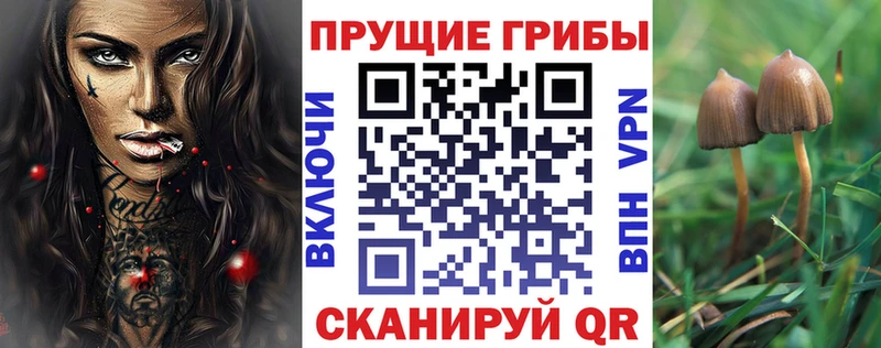 Галлюциногенные грибы Psilocybine cubensis Купить закладки Никольск